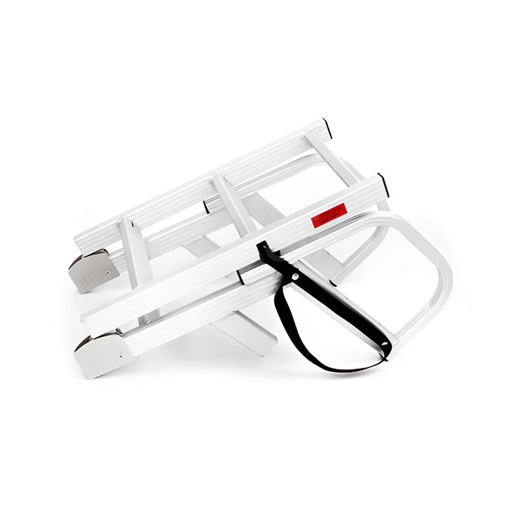 كيف يمكن للسلم تحت الماء أن يحول الوصول إلى البيئة البحرية وسلامتها؟